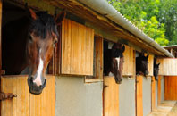 free Sheldwich stable construction quotes